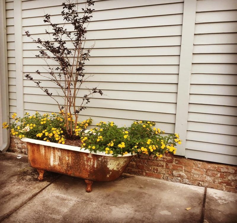 Old bathtub into garden planter