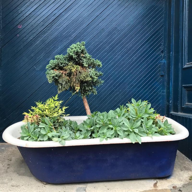 Old bathtub into a blue planter