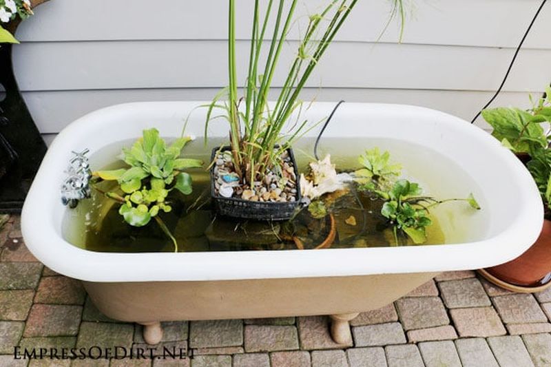 Old bathtub into garden pond