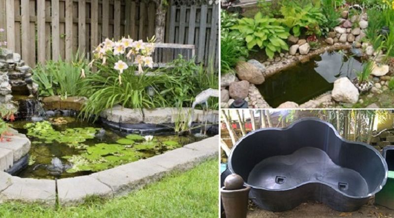 Old bathtub transformed into a garden pond