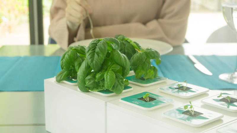 Planty Square by Nthing is modular hydroponic gardening kit