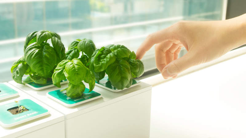 Planty Square by Nthing is modular hydroponic gardening kit