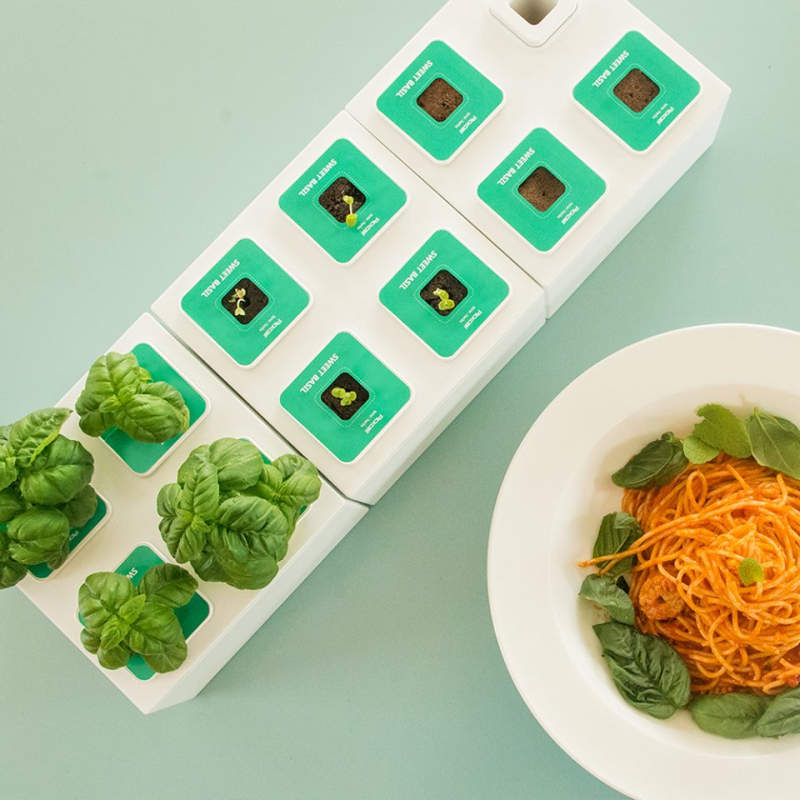 Planty Square by Nthing is modular hydroponic gardening kit