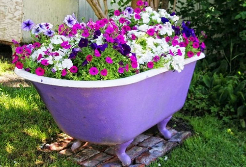 Old bathtub into violet planter 