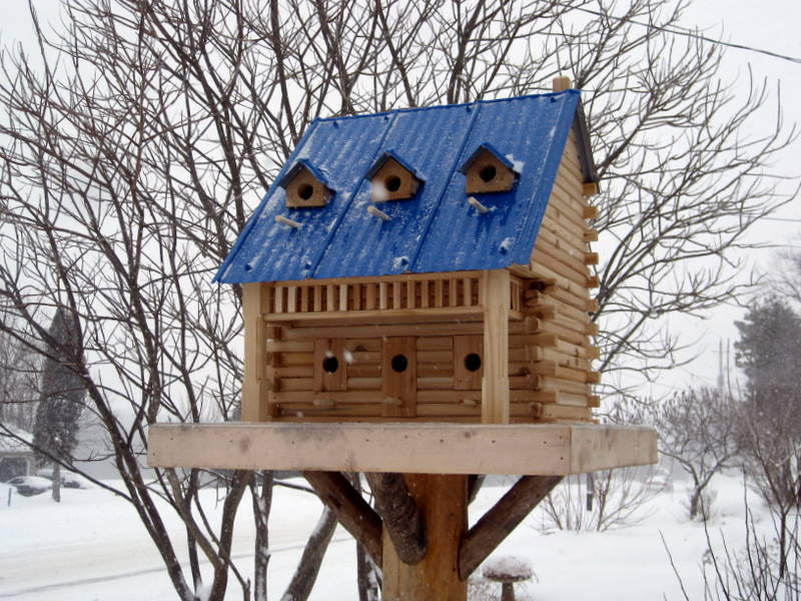 These luxury birdhouses feature fly-through tunnels and swimming pools 