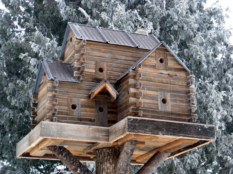 These luxury birdhouses feature fly-through tunnels and swimming pools 