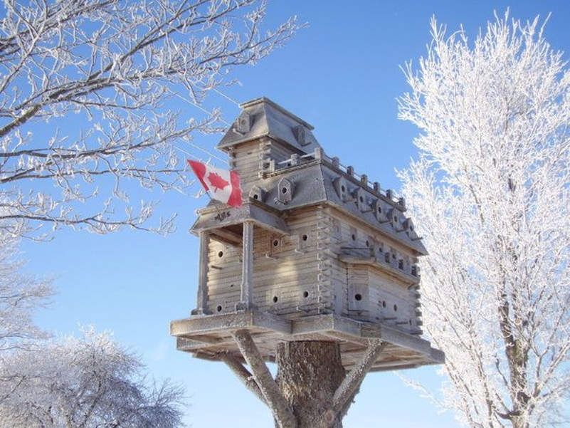 These luxury birdhouses feature fly-through tunnels and swimming pools 