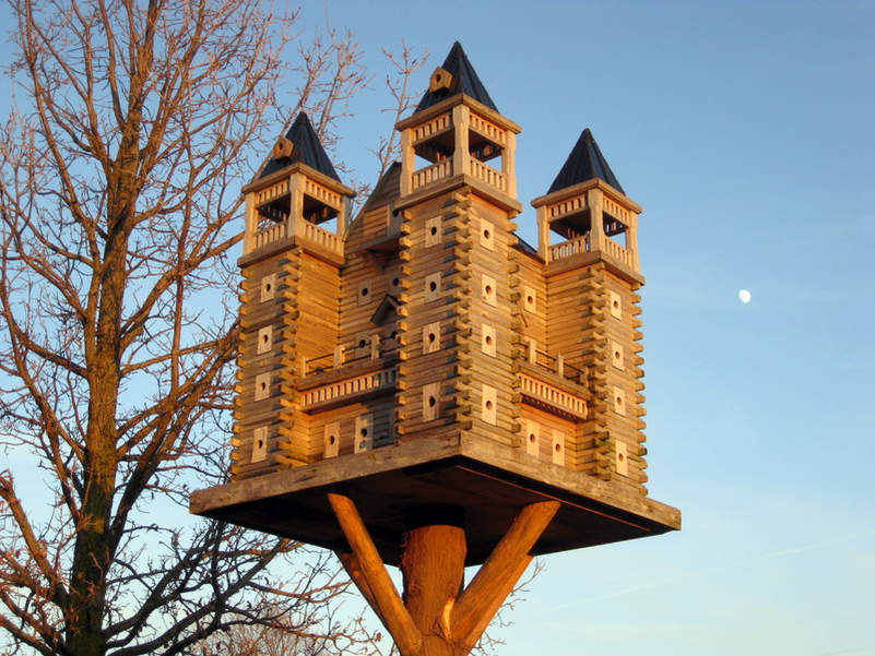 These luxury birdhouses feature fly-through tunnels and swimming pools 