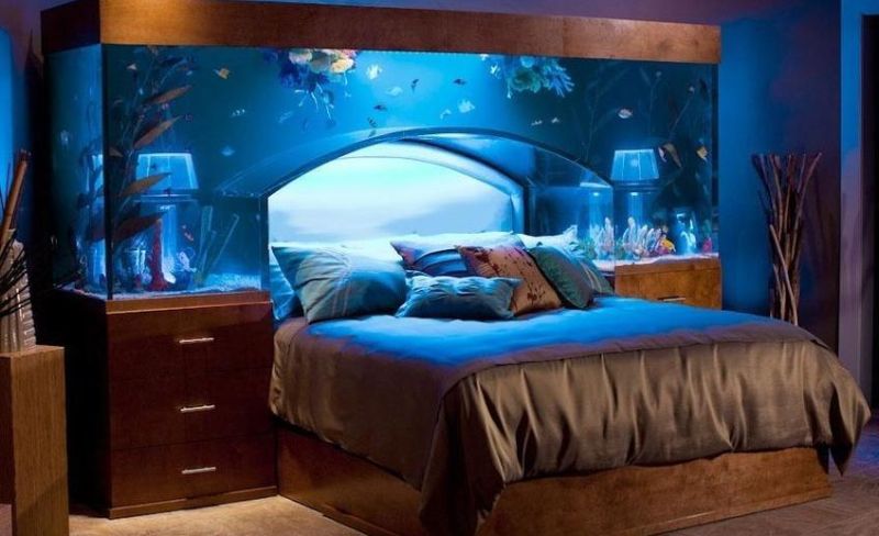 aquarium bed