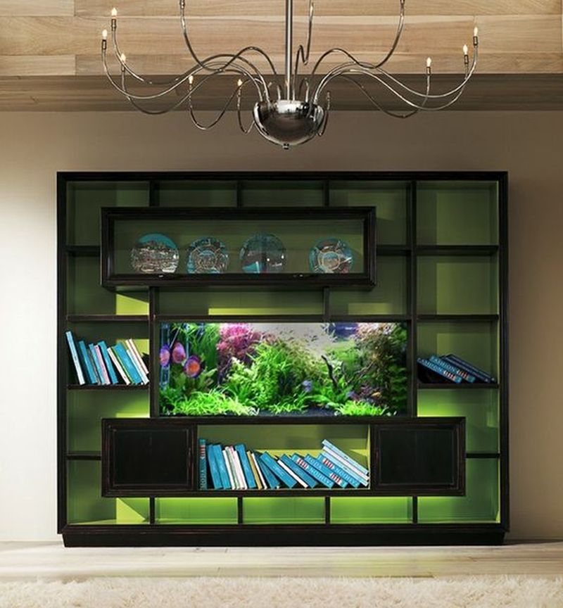 Modern fish tank ideas for home