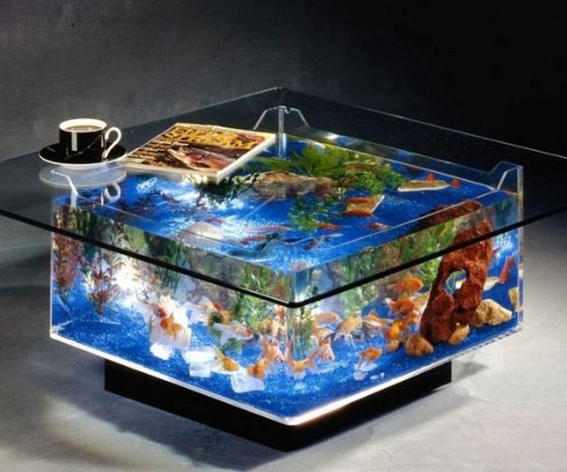 coffee table fish tank 