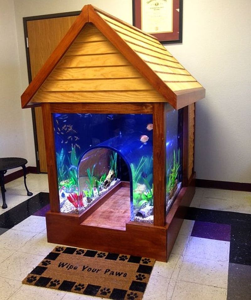  dog house surrounded by an aquarium 