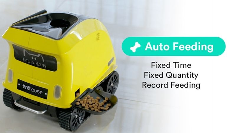 Anthouse Pet Companion Robot