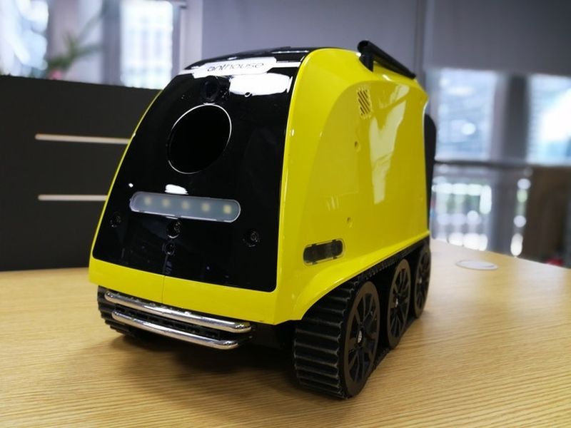 Anthouse Pet Companion Robot