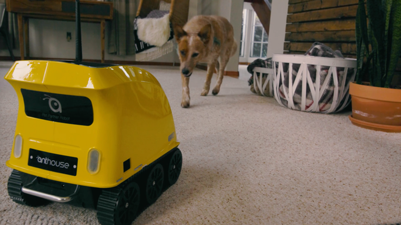 Anthouse Pet Companion Robot