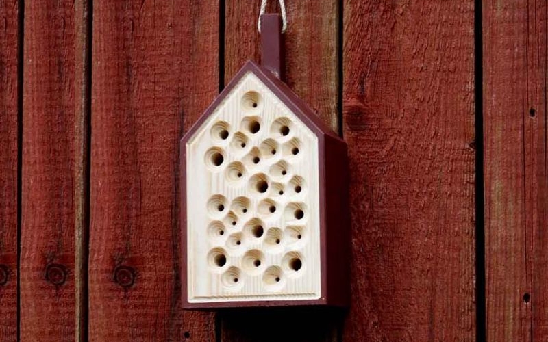 Bibo-bee-hotel-for-honeybees-