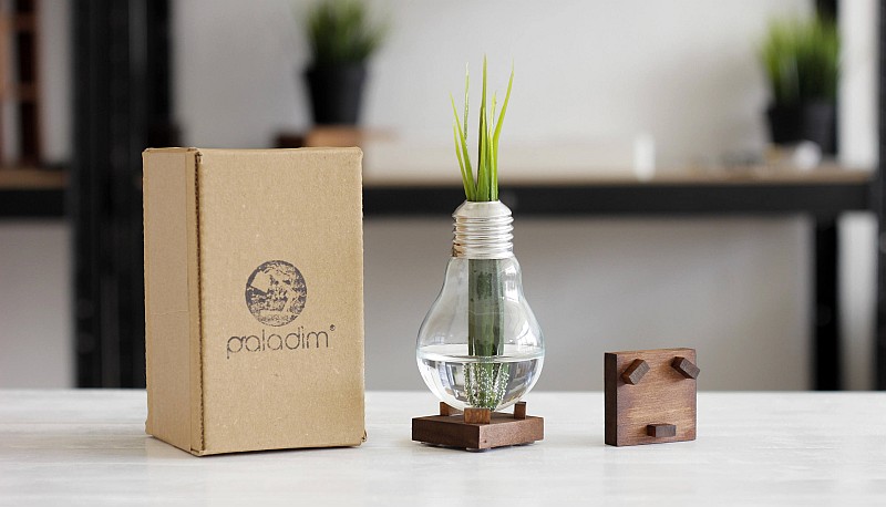 Bulb vase by Paladim