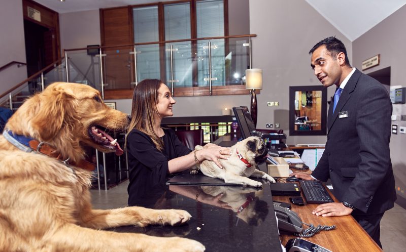 Mercure Hotels Happy Tails package for your pooch