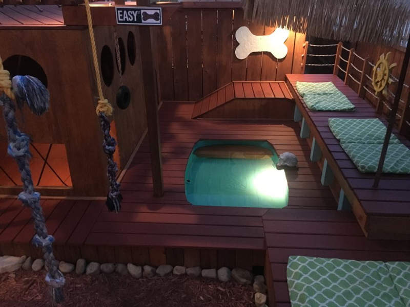 Man builds expansive dog mansion complete with pool and deck 