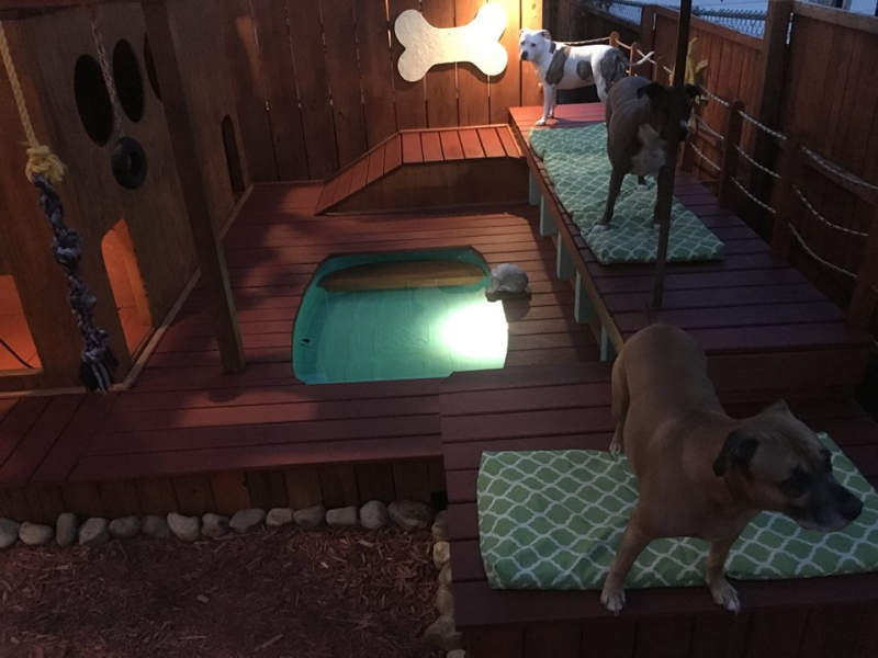 Man builds expansive dog mansion complete with pool and deck 