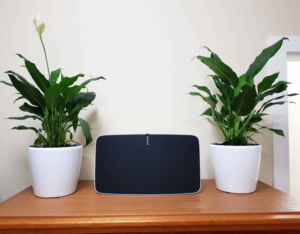 Sonos’ smart speaker might soon be a reality