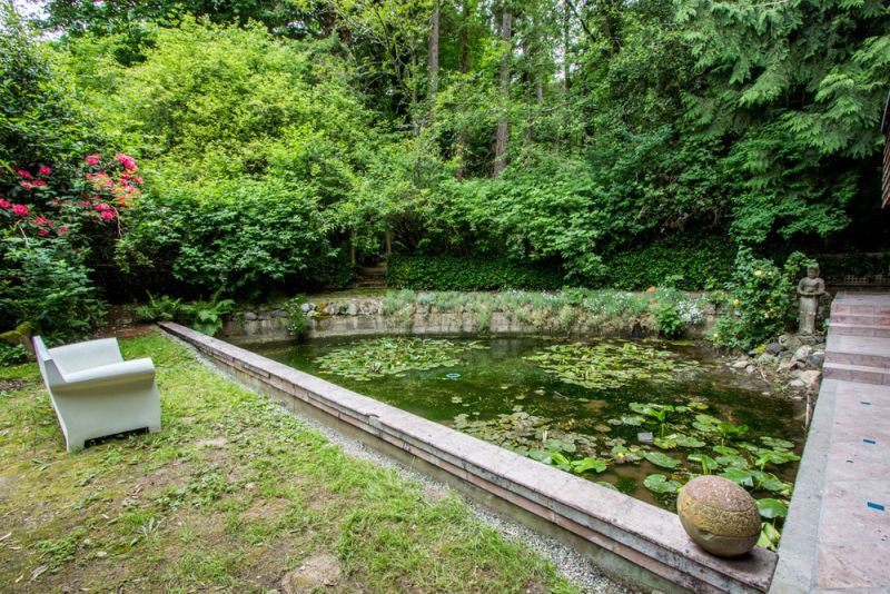 Treehouse Tower outdoor pond