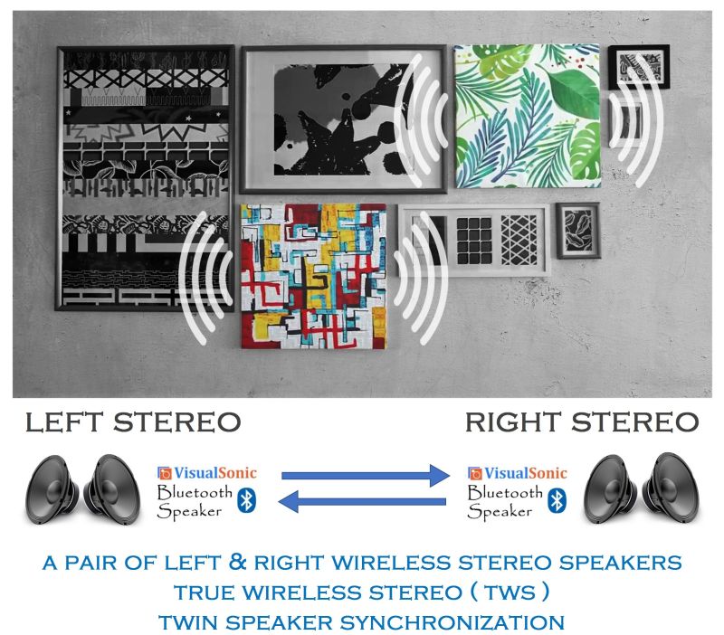 Visual Sonic Artwork Speaker - スピーカー