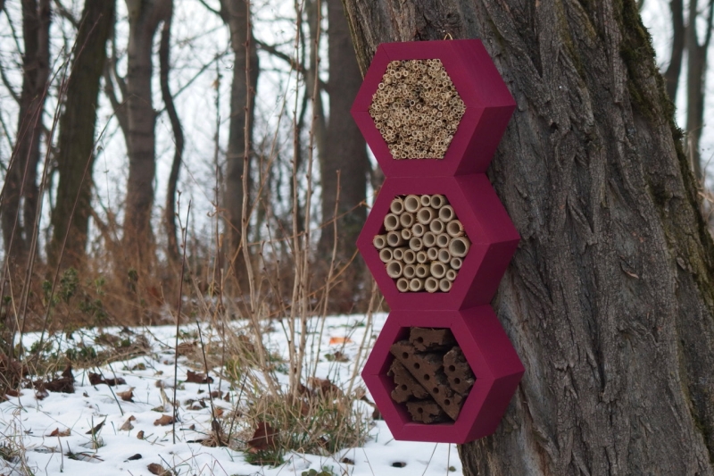 bee hotel