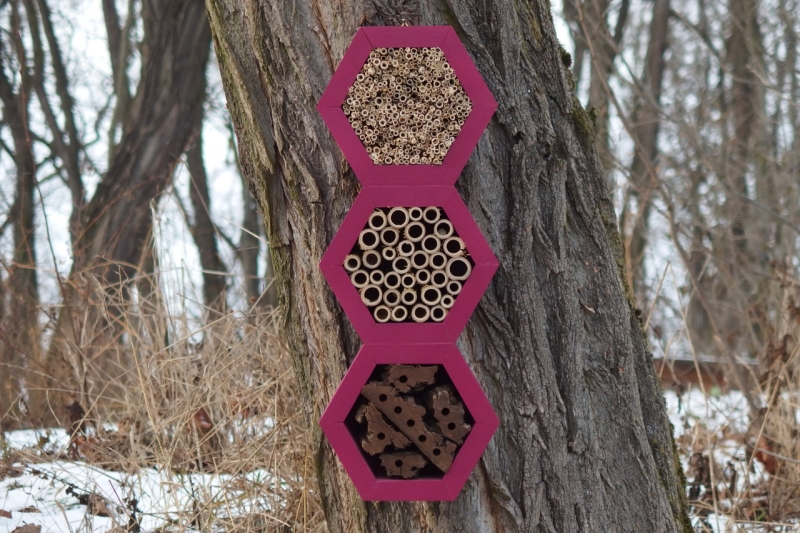 bee hotel