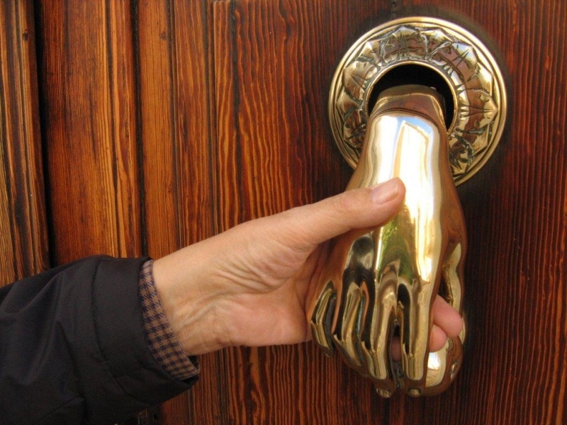 Pine Cone Door Knocker In Polished Brass