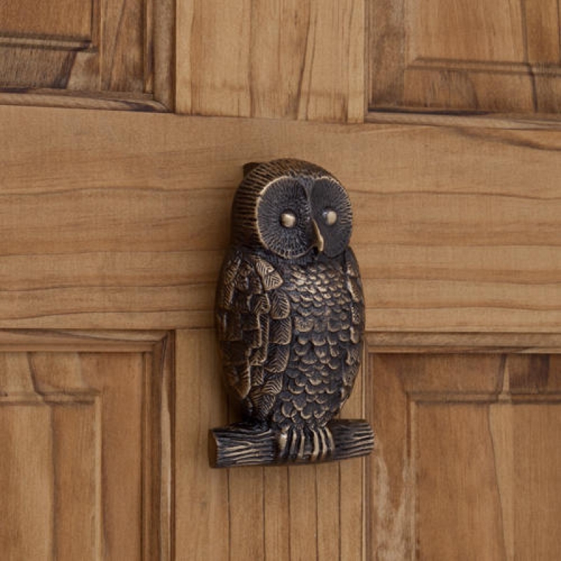 owl-door-knocks_1