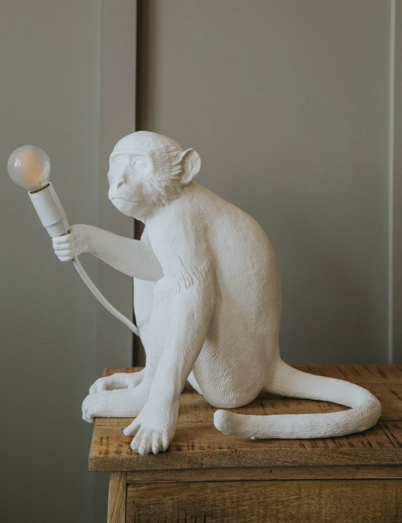 Seletti-Lighting-Monkey-Lamp-Sitting-Lamp-Indoor