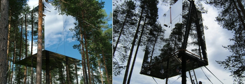 tree hotel