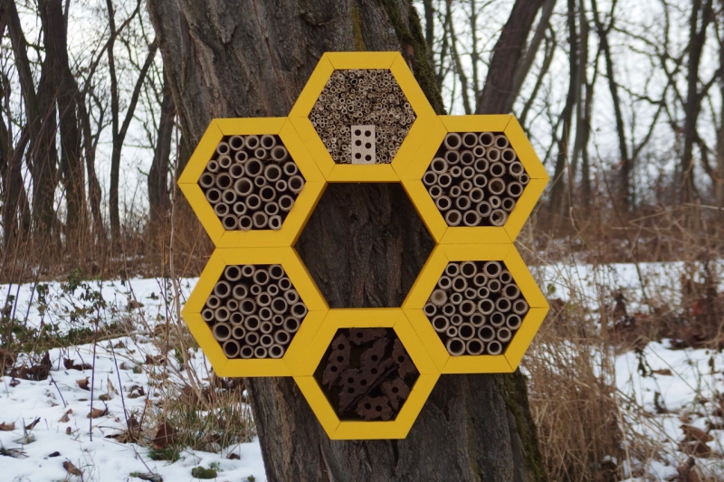 bee hotel