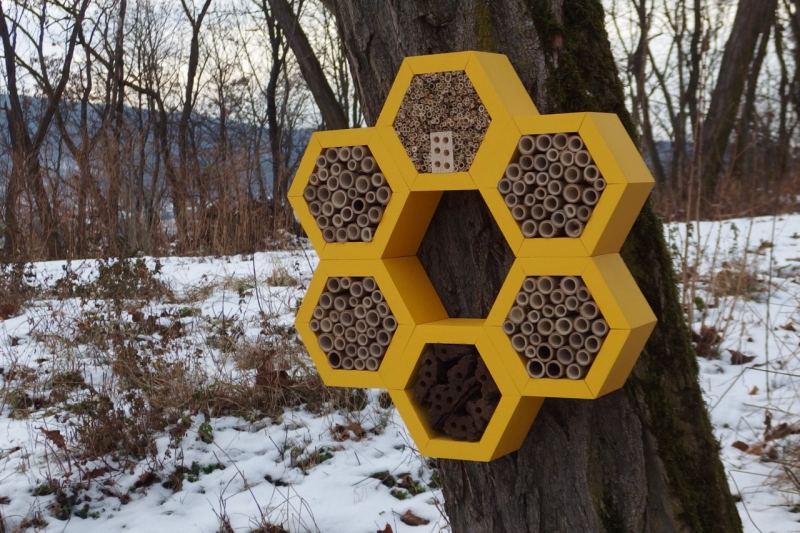 bee hotel