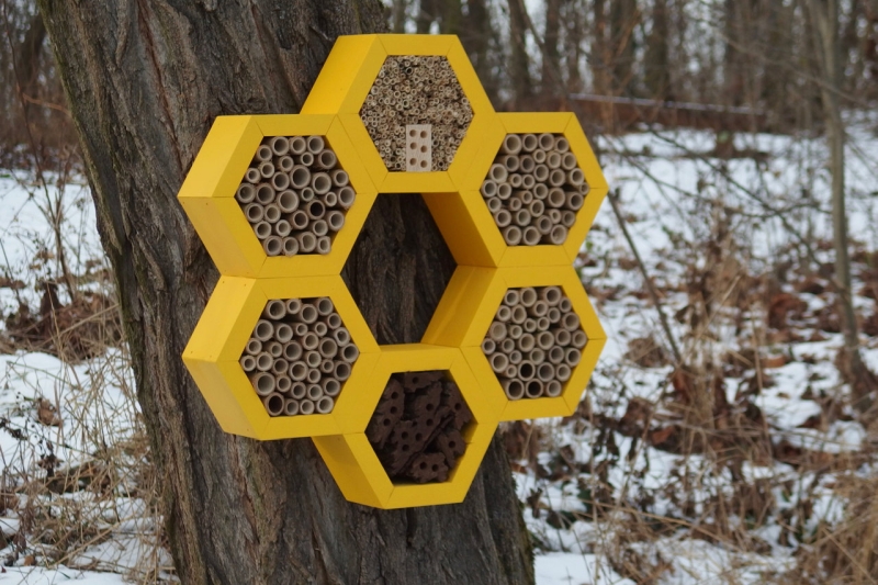 bee hotel