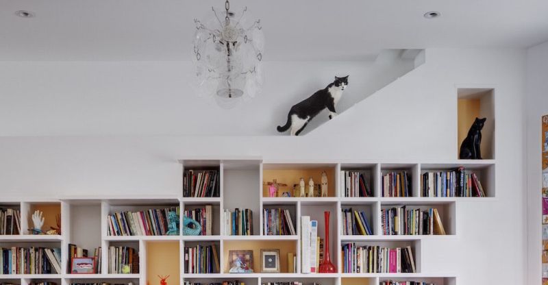 House-for-Booklovers-and-Cats-by-BFDO-Architects