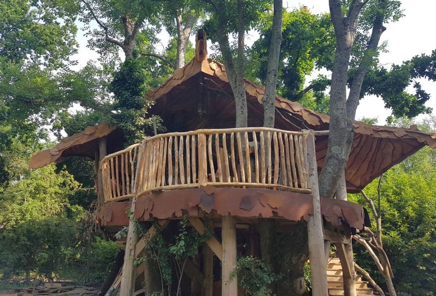 Piggledy Treehouse Blackberry Wood campsite in Ditchling