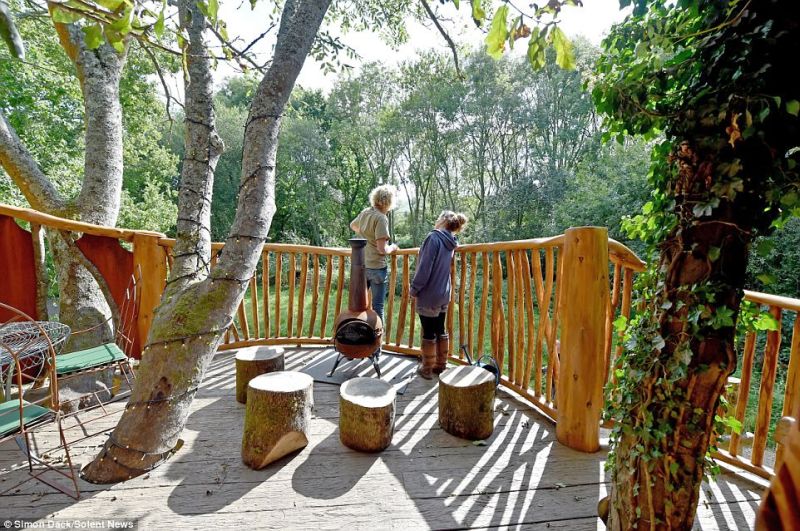 Piggledy Treehouse Blackberry Wood campsite in Ditchling