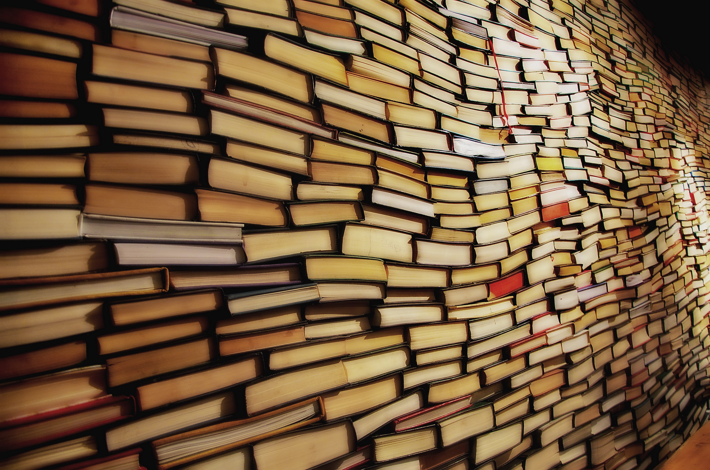 Wall structure made of books