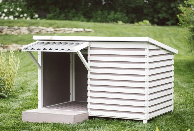 Archie Dog House by Boomer & George