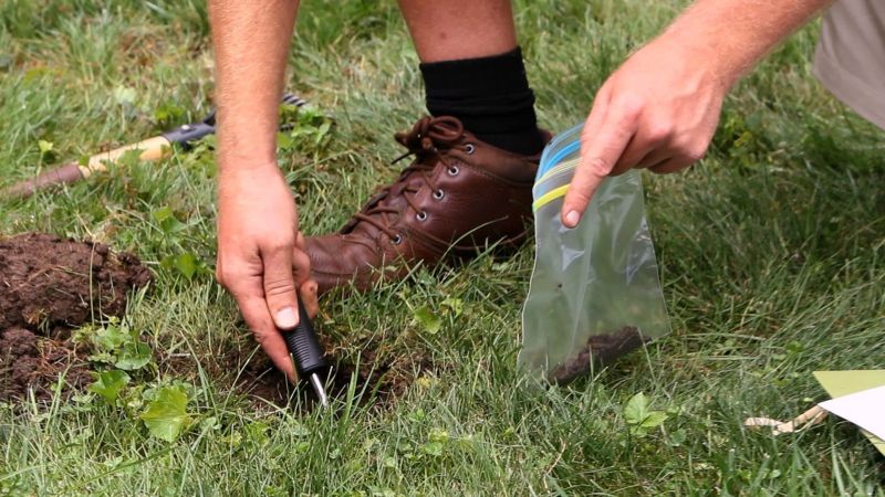 Conduct a soil test