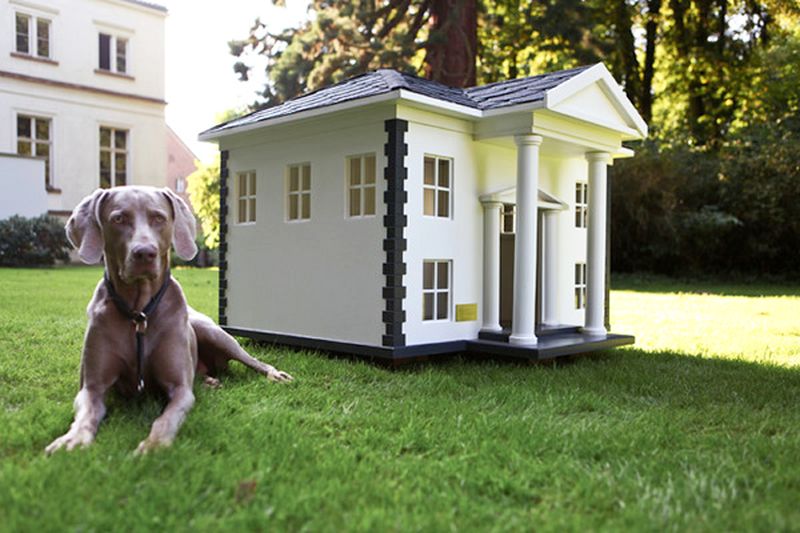 Luxury dog house