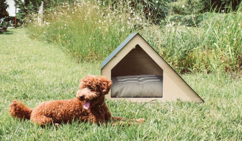 architectural doghouses