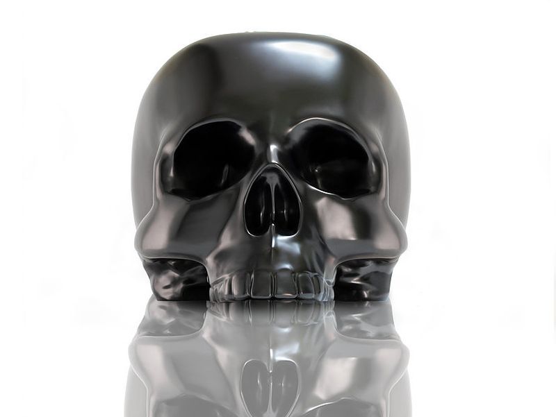 Giant skull armchair by Gregory Besson