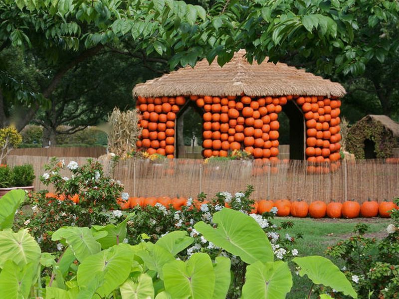 Pumpkin House A Great Way to Spice up Your Backyard This Halloween