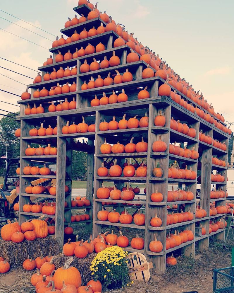 Build Halloween Pumpkin house