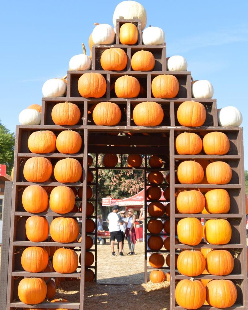 how to build Halloween Pumpkin house 