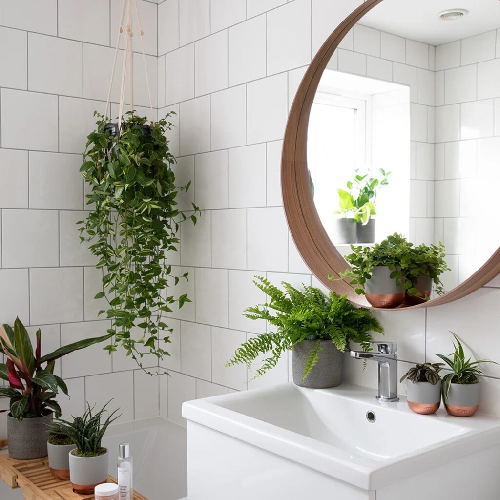 Bathroom Plants - Bathroom Décor Ideas