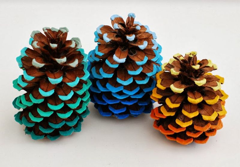 Ombre pinecone